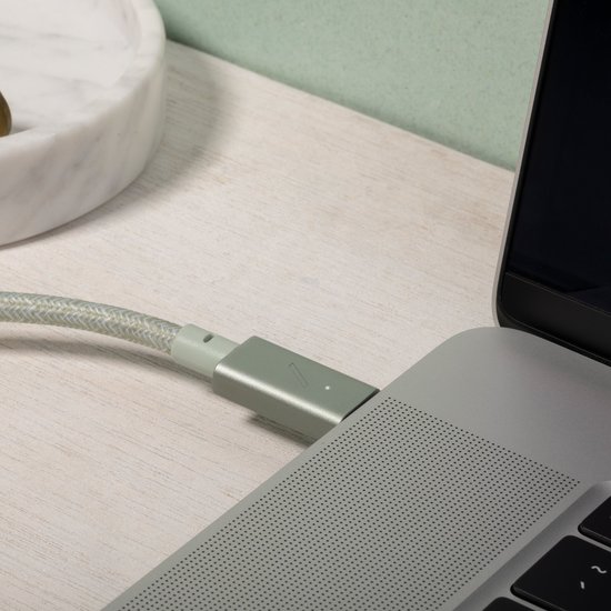 Native Union Belt Pro USB-C naar USB-C kabel Zebra