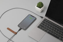 Native Union Belt USB-C naar Lightning kabel Rose