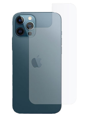 TechProtection iPhone 12 Pro / 12 glazen achterkant protector - Appelhoes